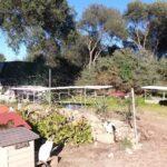 Katzenkolonie der L.I.DA.