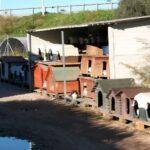 Katzenkolonie der L.I.D.A.