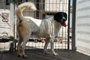 09-22_Macchia (3)