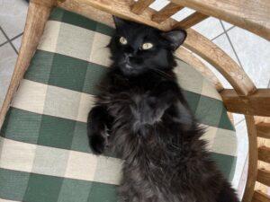 Milva single 3