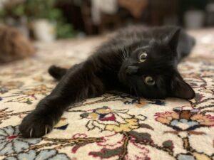 Milva single 4