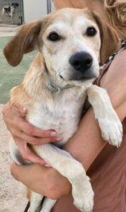 Teodoro3-b