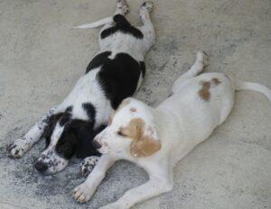 07-22_Nella1.B