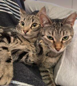 Nio und Nea Jan21