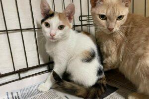 Rosina mit Mama
