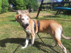 Teodoro-PS.6