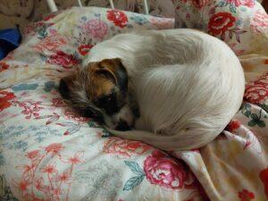 05.09.2022 Bett Ambra