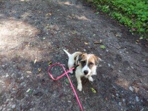 17.09.2022 Schleppleine - Ambra