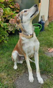 Teodoro-PS_09-22_2B