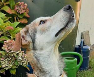 Teodoro-PS_09-22_2V
