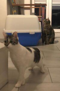 Haky+Misha-2-neu