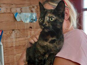Prinses 4