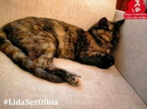 Prinses 9