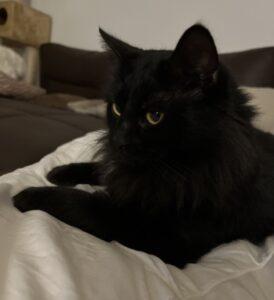 Tina-2-neu