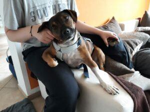 WhatsApp Image 2023-09-18 at 16.18.15 (1)