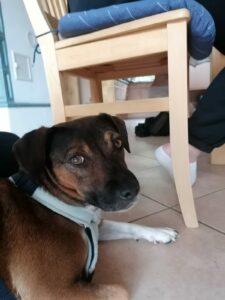 WhatsApp Image 2023-09-18 at 16.18.15 (2)