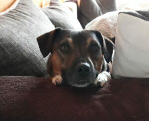 WhatsApp Image 2023-09-18 at 16.18.15