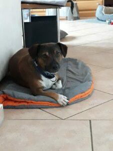 WhatsApp Image 2023-09-18 at 16.18.17 (1)