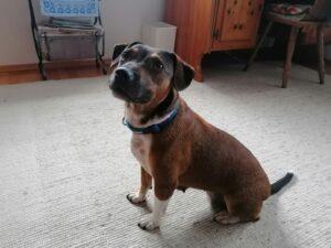 WhatsApp Image 2023-09-18 at 16.18.17 (2)