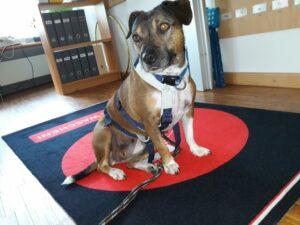 WhatsApp Image 2023-09-18 at 16.18.22 (2)