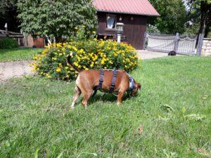 WhatsApp Image 2023-09-18 at 16.18.22