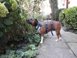 WhatsApp Image 2023-09-18 at 16.18.35