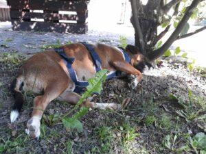 WhatsApp Image 2023-09-18 at 16.18.36 (1)