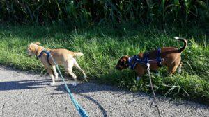 WhatsApp Image 2023-09-18 at 16.18.36