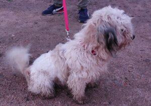 Chicco7B_12-22