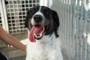 09-22_Macchia-4