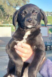 Carmela1_01-23