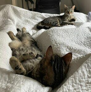 Nea und Nio Jan4