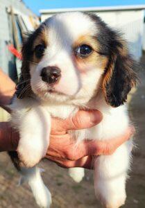 Stefy4_01-23