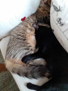 Titi und Tommy in Love Jan