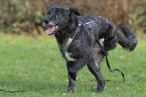 Anna10_02-23