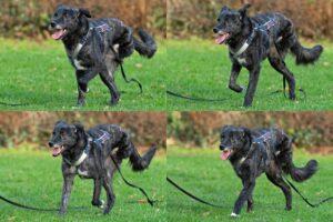 Anna2_02-23