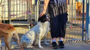 Macchia_Jan23_6