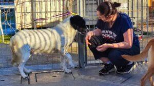 Macchia_Jan23_7