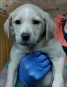 Sammy3_02-23