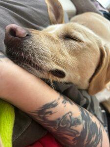 Sammy8_02-24_PS
