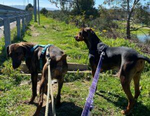 Corrada&Corrado_03-23