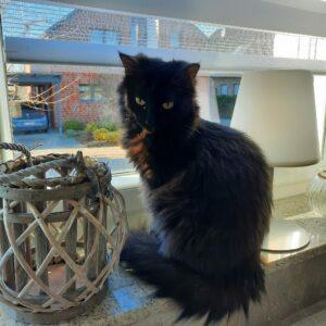 Milva März
