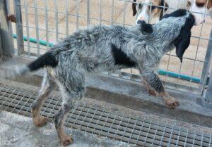 Sandy4_03-23