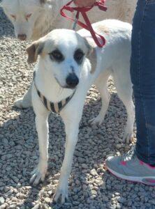 Betty3_04-23