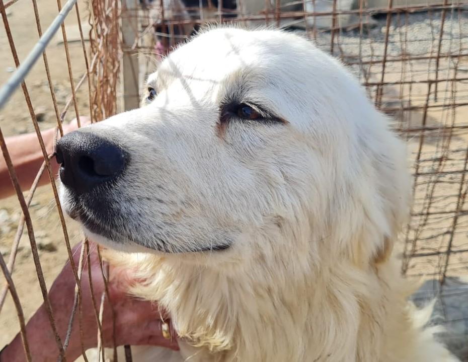 Fergus11_04-23