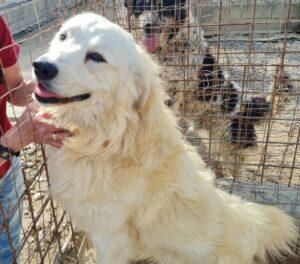 Fergus12_04-23