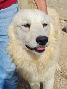 Fergus2_04-23