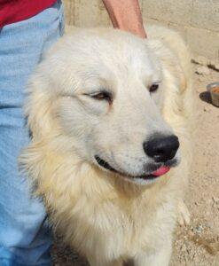 Fergus4_04-23