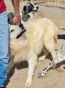 Fergus6_04-23