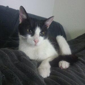 Fran April5